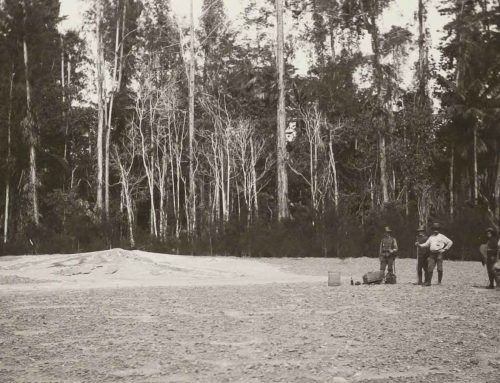 Wat moesten de Steurtjes in Nieuw-Guinea? 1930 (kennislezing)